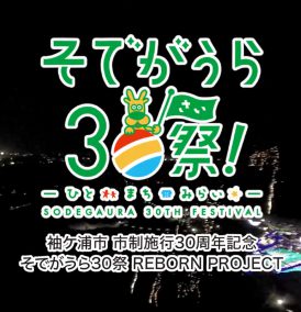 市制施行30周年記念花火動画(360度空撮動画)
